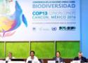 Mesa da 13ª Conferência das Partes da Convenção da Diversidade Biológica (COP-13/CDB)