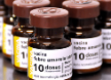 Frasco de vacinas contra a febre amarela