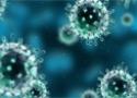 Vírus H1N1 visto pelo microscópio