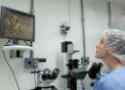 Pesquisadora em laboratório olha para tela de TV com imagens de microscópio ampliadas