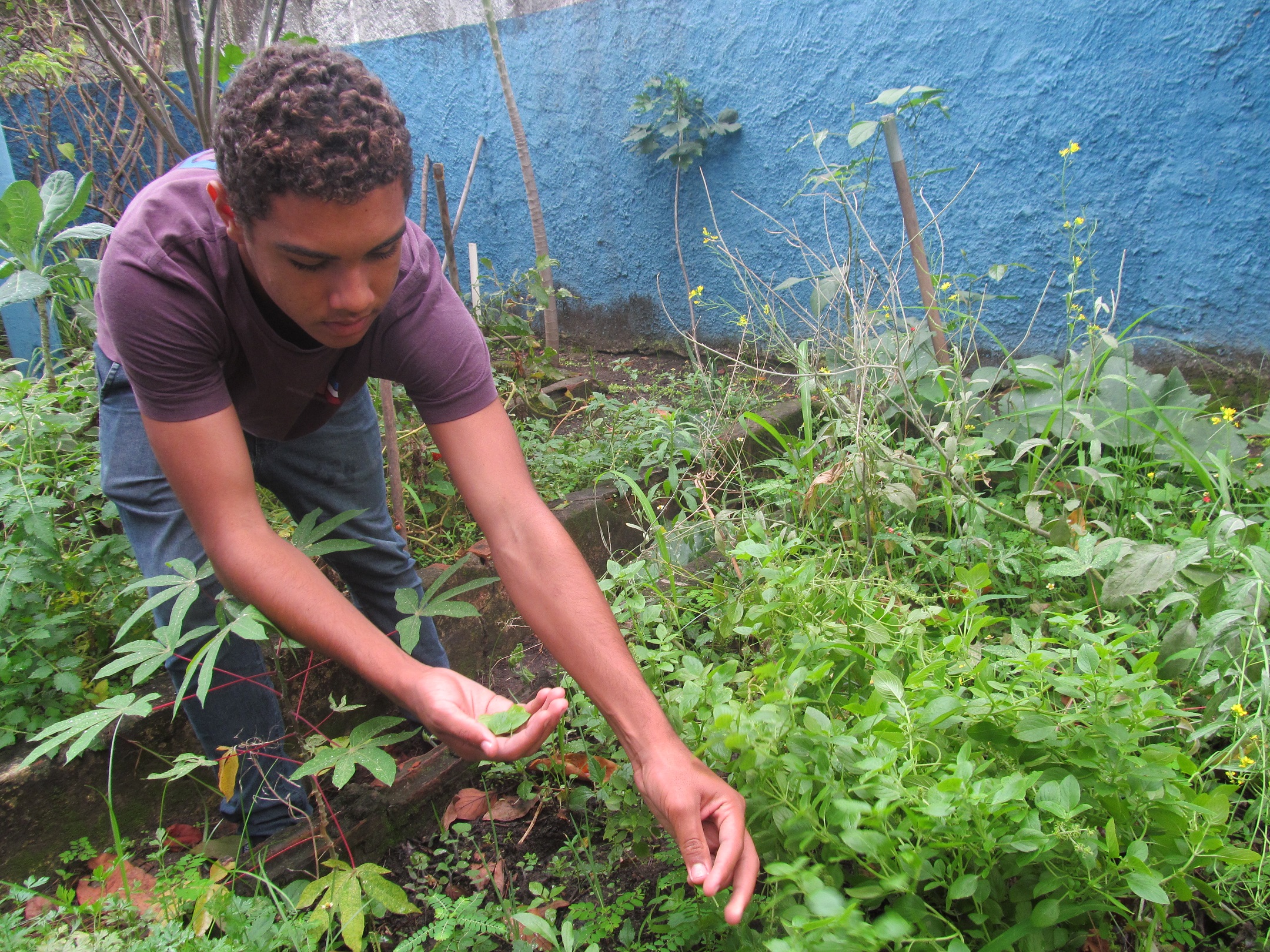 Estudante Marcos Aurélio na horta da escola