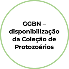 GGBN   disponibilização da Coleção de Protozoários