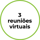 3 reuniões virtuais