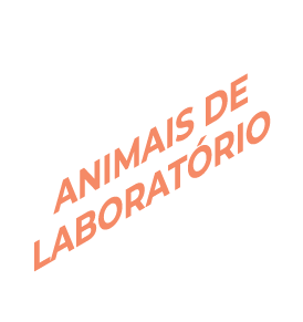 animais de laboratório